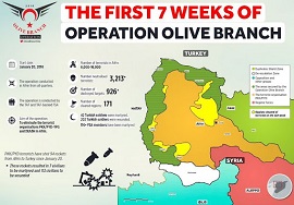 Operation Olive Branch