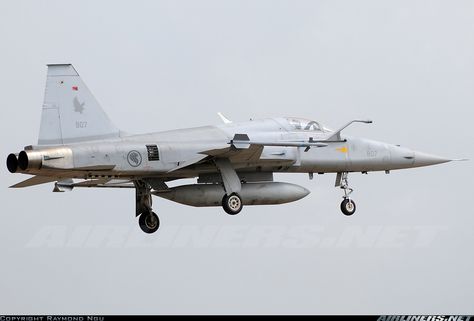 Republic of Singapore Air Force F-5S