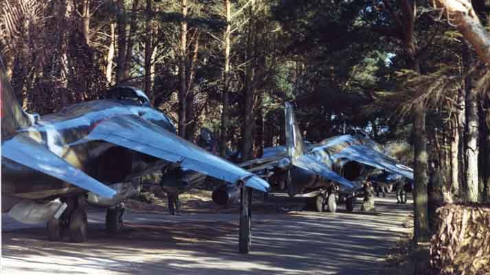 Hawker Harrier GR1 sedang melakukan latihan di bawah kanopi pohon di RAF Guteslough, Jerman