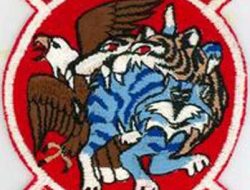 patches atau bet Red Force F-5E Aggressor