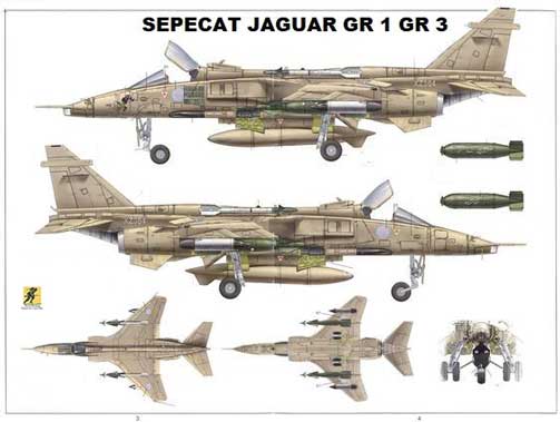 Jaguar adalah sebuah kursi tunggal ortodoks, sayap menyapu, desain monoplane bermesin ganda, dengan roda tiga-jenis tinggi landing gear ditarik. Dalam konfigurasi aslinya, ia memiliki berat lepas landas maksimum di kelas 15 ton; dengan radius tempur pada bahan bakar internal 850 km (530 mil), memberikan Jaguar jangkauan operasional yang lebih besar daripada pesawat pesaing seperti Mikoyan MiG-27