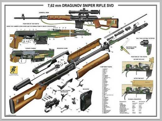 Senapan Dragunov SVD adalah tidak dimaksudkan untuk tim penembak jitu yang sangat terlatih dan khusus, melainkan untuk penembak jitu yang ditunjuk dalam sebuah peleton senapan.