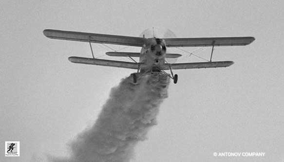 An- 2 Colt-Sementara tingkat kebisingannya yang relatif tinggi, peningkatan biaya perawatan, konsumsi bahan bakar yang tinggi dan sifatnya yang tidak canggih (pemeriksaan pra-penerbangan saja memakan waktu antara 30 dan 40 menit) telah membuat mereka usang untuk sebagian besar rute komersial di Eropa, sejumlah besar jumlah pesawat yang tersedia berarti bahwa harga satuan sangat rendah dibandingkan dengan pesawat sezamannya (tersedia mulai dari US$30.000 untuk contoh yang dapat diservis). Faktor harga telah membuat mereka sangat menarik untuk terus digunakan di negara berkembang, di mana kemampuan mereka untuk membawa muatan besar ke landasan terbang pendek menjadikannya aset bagi maskapai penerbangan dengan anggaran terbatas.