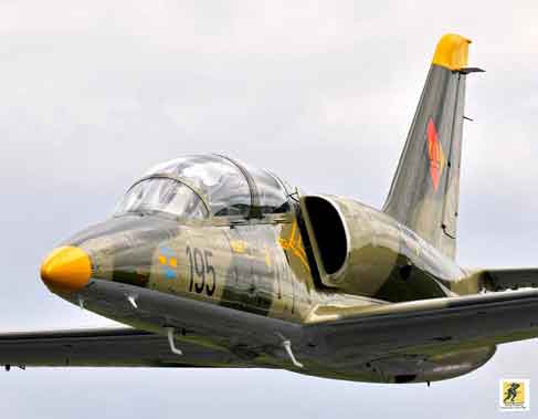 Irak menjadi pelanggan ekspor pertama untuk L-39 Albatros.pada pertengahan 1970