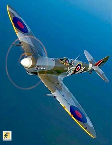 Setelah Pertempuran Inggris, Spitfire menggantikan Hurricane sebagai pesawat utama Komando Tempur RAF, dan digunakan di teater Eropa, Mediterania, Pasifik, dan Asia Tenggara. Sangat disukai oleh pilotnya, Spitfire beroperasi dalam beberapa peran, termasuk pencegat, pengintaian foto, pembom tempur, dan pelatih, dan terus melakukannya hingga 1950-an.