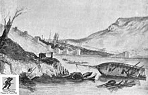 Hanya satu kapal Utsmaniyah, kapal fregat dayung 12-senjata Taif, yang berhasil lolos dari pertempuran sementara yang lainnya tenggelam atau sengaja lari ke darat untuk mencegah tenggelam. Dia melarikan diri ke Istanbul dan tiba pada tanggal 02 Desember, menginformasikan pemerintah Ottoman tentang kekalahan di Sinop.