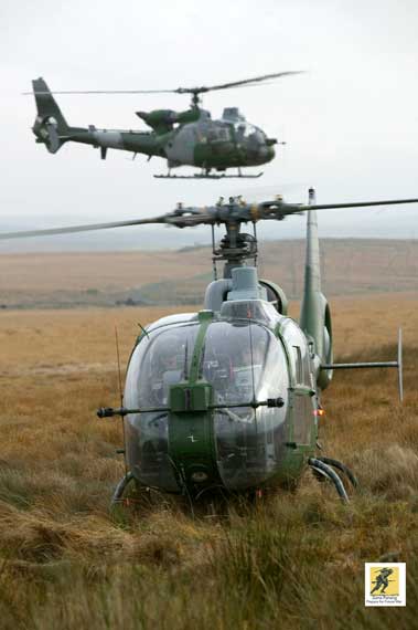 Gazelle juga beroperasi dalam peran pengintaian dan penghubung selama Perang di Afghanistan. Pada tahun 2007, dilaporkan bahwa, sementara banyak helikopter Inggris telah berjuang dengan kondisi medan Afghanistan dan Irak, Gazelle adalah "model dengan kinerja terbaik" dengan sekitar 80% tersedia untuk operasi yang direncanakan.