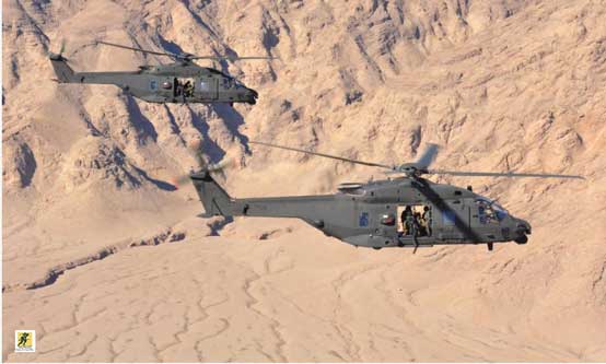 NH90 Standard akan melengkapi kemampuan Cougar Angkatan Darat Prancis dan H225M.
