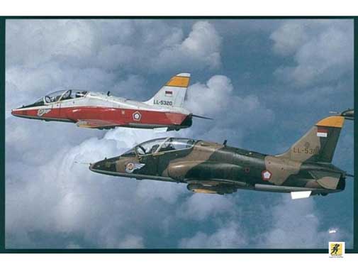 Hawk 53 - Versi ekspor untuk Angkatan Udara Indonesia/TNI-AU. Delapan dipesan pada 4 April 1978, dengan lima lagi dipesan pada Mei 1981, tiga lagi pada Oktober 1981 dan empat pada November 1982, sehingga total 20 yang dikirim antara tahun 1980 dan 1984. Lima dibeli kembali oleh BAE Systems pada tahun 1999.