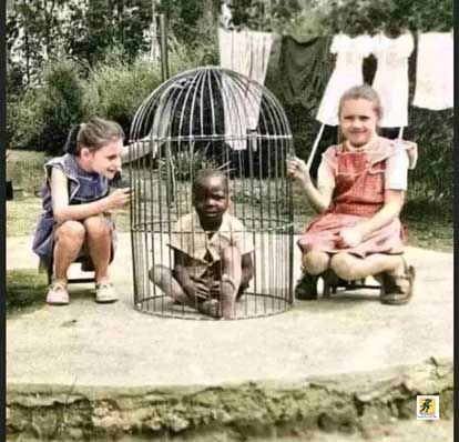 Foto berwarna yang berasal dari tahun 1955 selama pendudukan Belgia di Kongo. Seorang ayah Belgia membawa seorang anak Afrika kepada putrinya dan mengurungnya sebagai hiburan. Foto ini merupakan bagian dari album berjudul: "Collection Monsieur Van de Meerssche: Congo Belge, [1950-1960]"