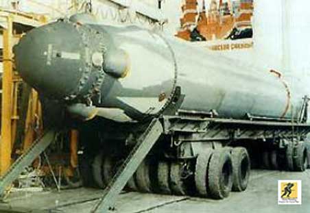 R-39 adalah SLBM terbesar yang pernah diproduksi dan mempersenjatai kapal selam rudal balistik kelas Project 941 Akula (NATO: Typhoon).
