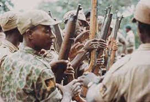 Perang Nigeria-Biafran atau Perang Biafran