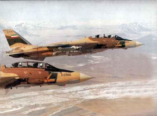 Menurut Tom Cooper dan Farzad Bishop, selama Perang Iran-Irak, AIM-54 yang ditembakkan oleh Tomcat IRIAF mencapai 78 kemenangan melawan MiG-21, MiG-23, MiG-25, Tu-22, Su-20/22 Irak, Mirage F 1s, Super Étendards, dan bahkan dua AM-39 Exocets dan sebuah C-601. Ini termasuk dua kejadian di mana satu AIM-54 bertanggung jawab atas jatuhnya dua pesawat Irak, serta insiden pada 7 Januari 1981, di mana Phoenix menembaki empat MiG-23 yang menjatuhkan tiga pesawat dan merusak pesawat keempat.