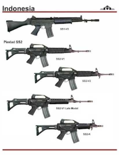 SS2 pertama kali dipesan oleh militer Indonesia pada tahun 2002 dan pada tahun 2003. Kemudian diumumkan bahwa senapan tersebut diluncurkan pada tahun 2005. 150 SS2-V4 dibeli pada tahun 2007. SS2 dengan stok padat /popor padat yang dikenal dengan nama SS2-V3 seharusnya diproduksi oleh Pindad, namun ditolak.