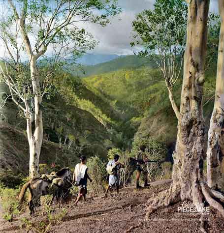 eorang gerilyawan Australia berpatroli di bagian timur Timor pada tahun 1942. Selama 10 bulan, pasukan Australia dan KNIL (Koninklijk Nederlandsch-Indisch Leger) menjadi gangguan bagi Tentara Jepang, yang mengalami kerugian berat. Meskipun demikian, Timor tetap berada di bawah kendali Jepang hingga tahun 1945