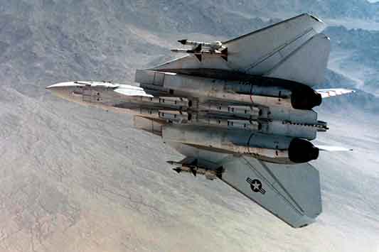 F-14 Tomcat dengan AIM-7 Sparrow. AIM-9 Sidewinder & AIM-54 Phoenix