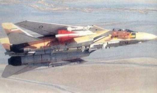 F-14A Iran yang membawa rudal MIM-23 Hawk dimodifikasi selama Perang Iran-Irak dan menggunakannya dalam pertempuran udara. Untuk menembakkan dan menggunakan rudal, fungsinya akan sama persis dengan AIM-7 Sparrow.