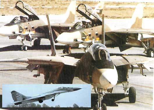 Pertempuran Udara Terakhir: F-14 Iran vs 4 MiG-29 Irak